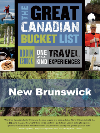 表紙画像: The Great Canadian Bucket List — New Brunswick 9781459729247