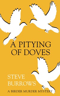 Cover image: A Pitying of Doves 9781459731066