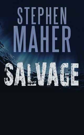 Imagen de portada: Salvage 9781459734517