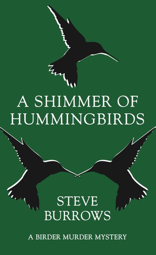 Cover image: A Shimmer of Hummingbirds 9781459735309