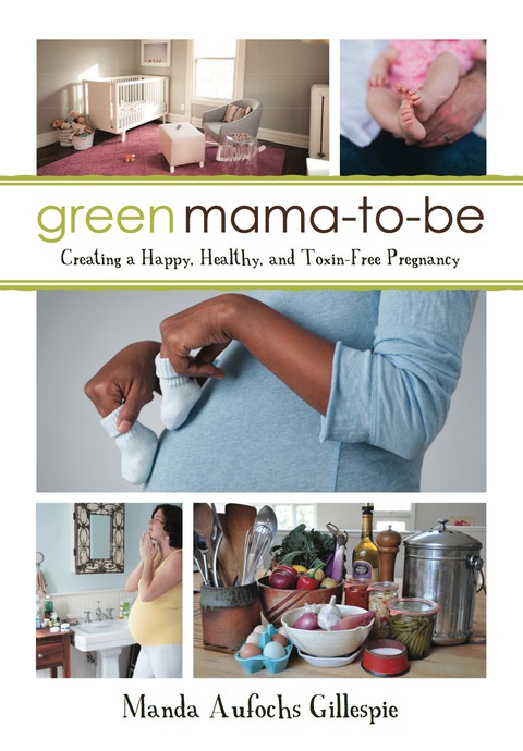 Green Mama-to-Be: Creating a Happy, Healthy, and Toxin-Free Pregnancy - FULL INSTANT DOWNLOAD | PDF DOCX EPUB
