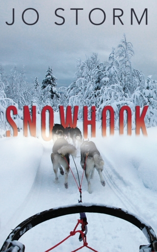 Imagen de portada: Snowhook 9781459743007