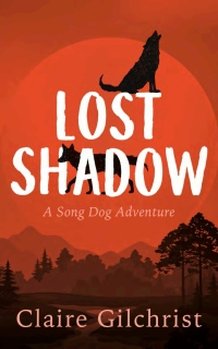 Cover image: Lost Shadow 9781459748255