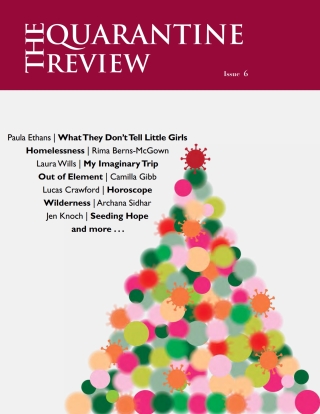 Cover image: The Quarantine Review, Issue 6 9781459748637