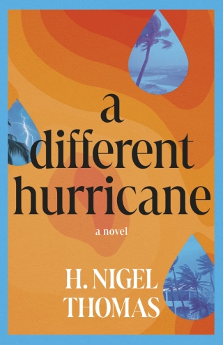 Imagen de portada: A Different Hurricane 9781459754065