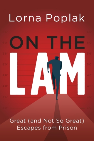 Imagen de portada: On the Lam 9781459754379