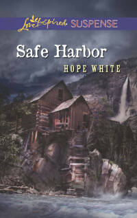 Immagine di copertina: Safe Harbor 9780373445387