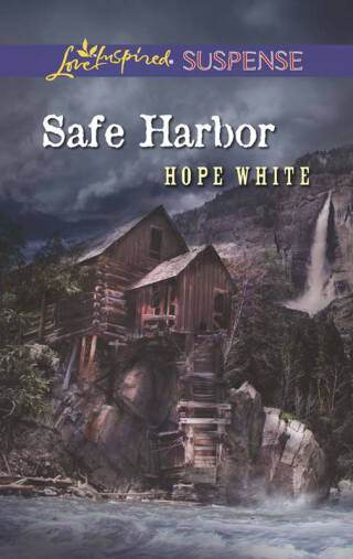صورة الغلاف: Safe Harbor 9780373445387