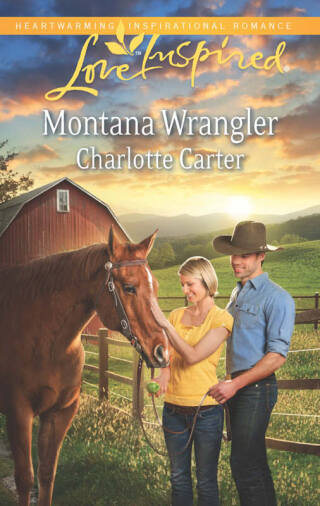 Cover image: Montana Wrangler 9780373878260