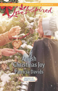 Omslagafbeelding: Amish Christmas Joy 9780373878550