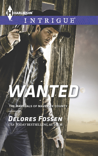 Cover image: Wanted 9780373697342