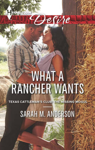 Imagen de portada: What a Rancher Wants 9780373732951