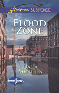 Immagine di copertina: Flood Zone 9781460335468