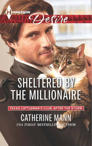 Cover image: Sheltered by the Millionaire 9780373733491