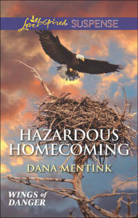 Cover image: Hazardous Homecoming 9780373446315