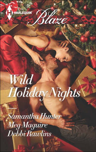 Cover image: Wild Holiday Nights 9780373798292