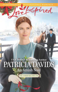 Imagen de portada: An Amish Noel 9780373719228