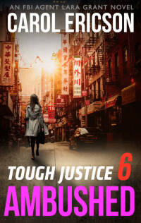 Imagen de portada: Tough Justice 6: Ambushed 9781460393673