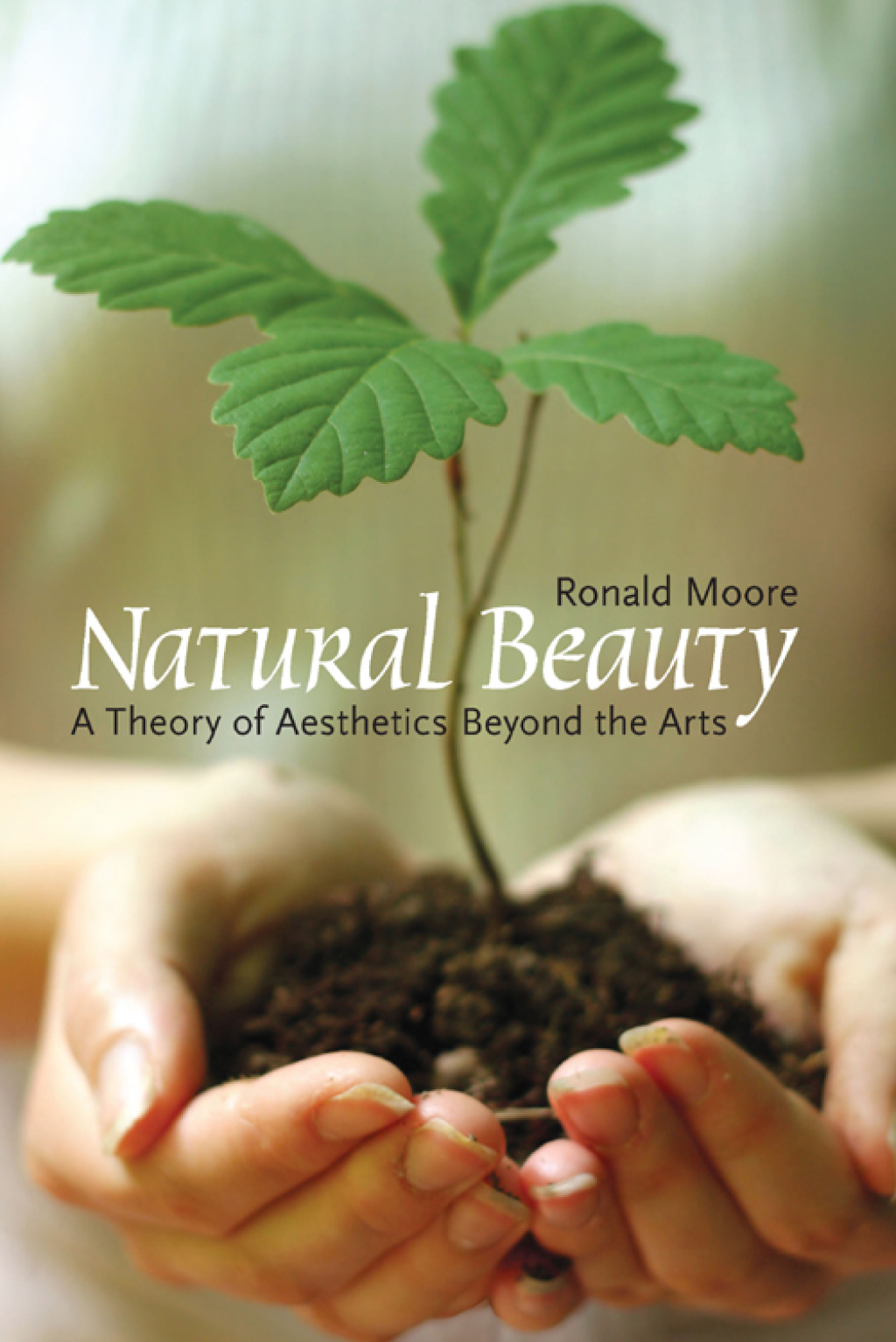 Natural Beauty A Theory of Aesthetics Beyond the Arts eBook Rental