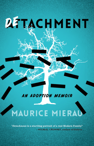 Immagine di copertina: Detachment 9781554812066