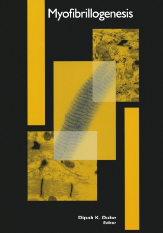 Imagen de portada: Myofibrillogenesis 1st edition 9780817642266