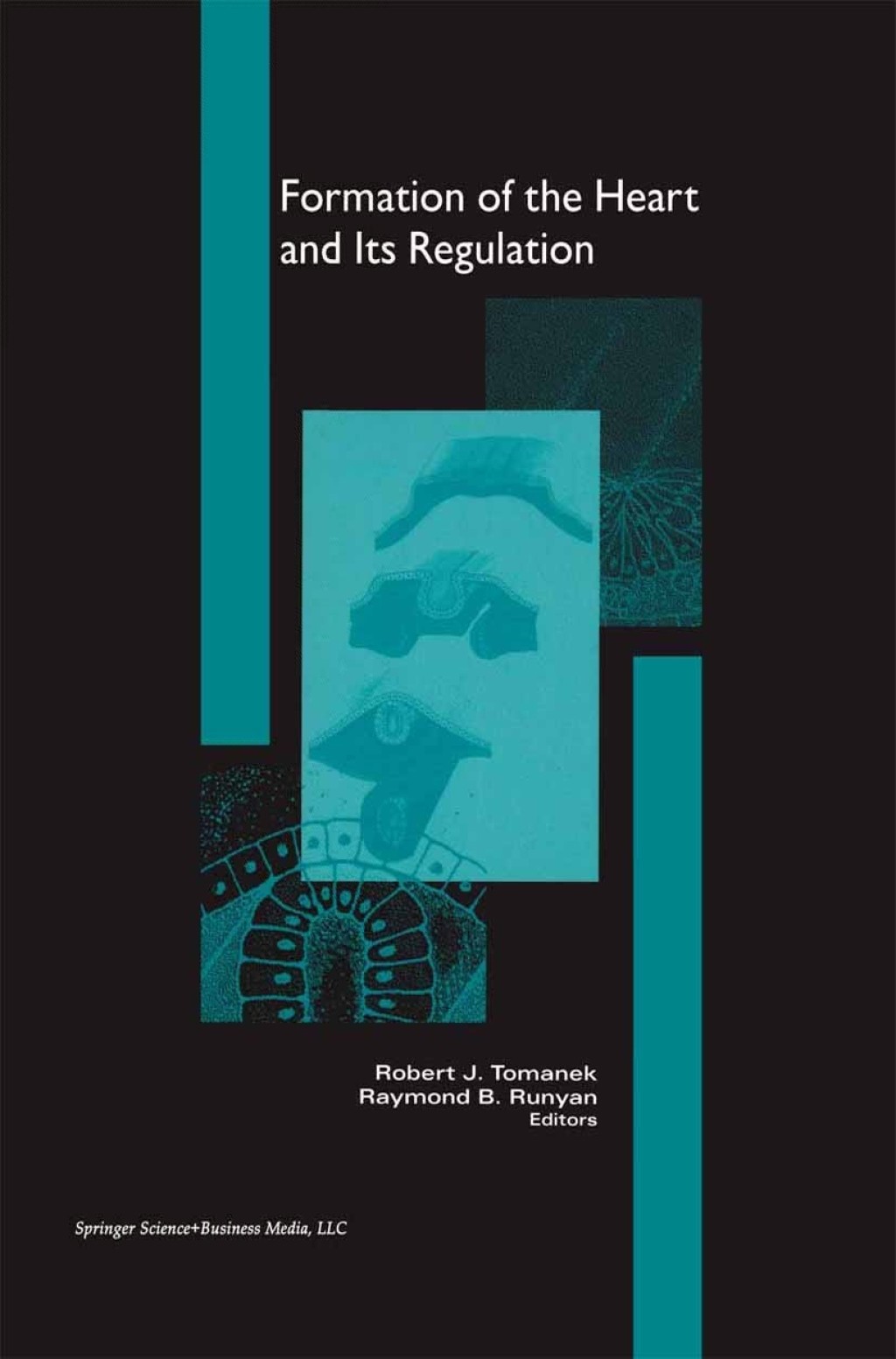Formation of the Heart and its Regulation 1st Edition