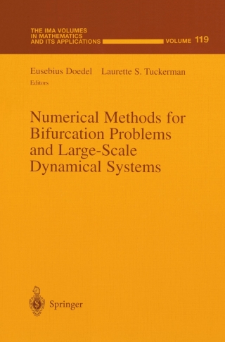 Imagen de portada: Numerical Methods for Bifurcation Problems and Large-Scale Dynamical Systems 9781461270447