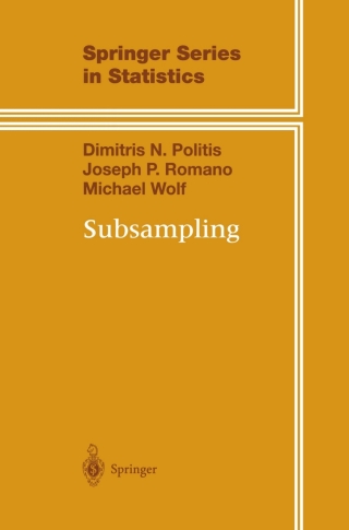 Immagine di copertina: Subsampling 9780387988542