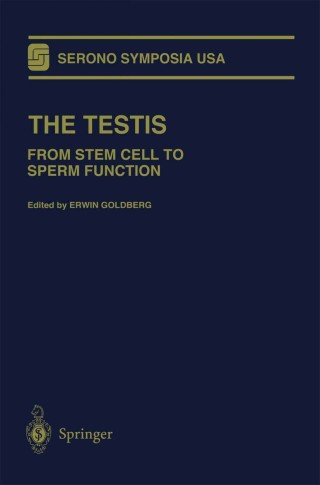 Immagine di copertina: The Testis 1st edition 9780387950242
