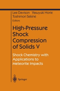 Imagen de portada: High-Pressure Shock Compression of Solids V 1st edition 9780387954943