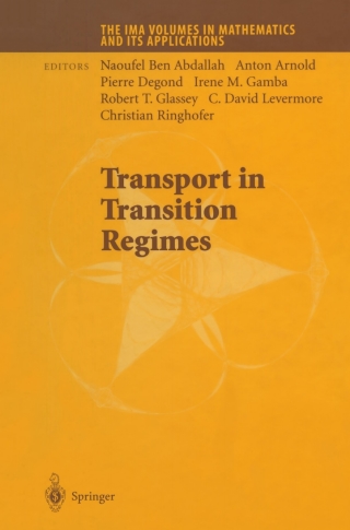 Imagen de portada: Transport in Transition Regimes 1st edition 9780387404950