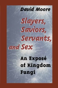 Cover image: Slayers, Saviors, Servants and Sex 9780387950983