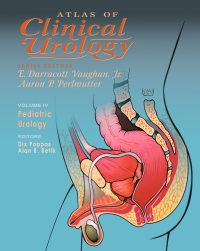 Imagen de portada: Pediatric Urology 1st edition 9781573401500