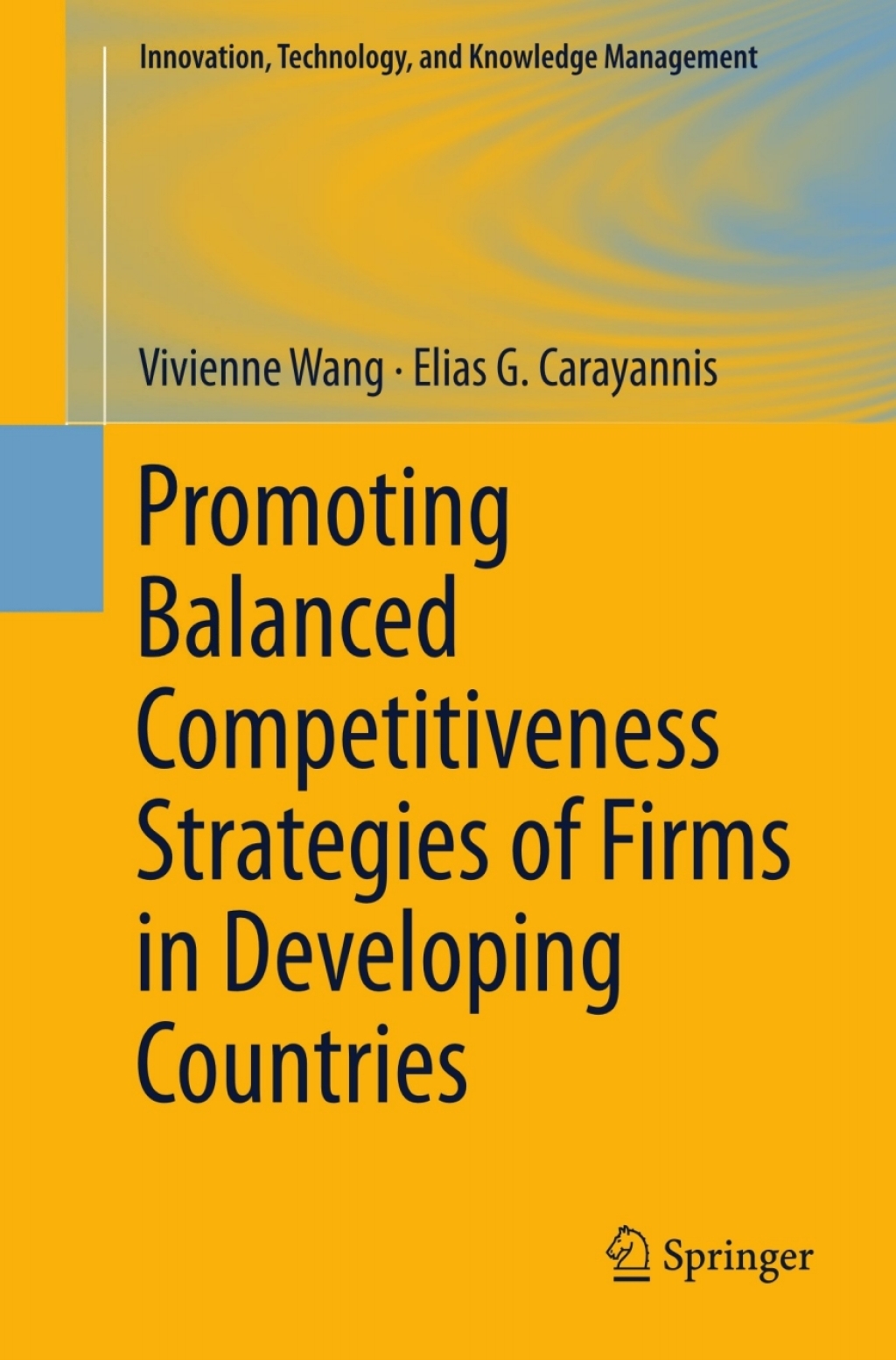 Promoting Balanced Competitiveness Strategies of Firms in Developing Countries