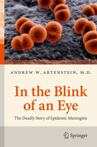 Imagen de portada: In the Blink of an Eye 9781461448440