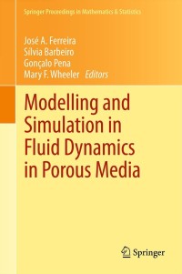 Titelbild: Modelling and Simulation in Fluid Dynamics in Porous Media 9781461450542