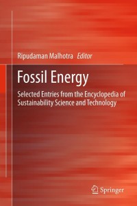 Cover image: Fossil Energy 9781461457213