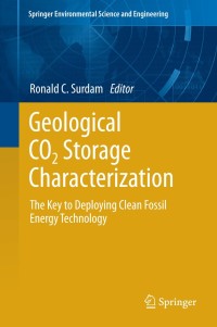 Cover image: Geological CO2 Storage Characterization 9781461457879