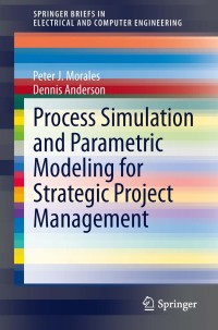 Imagen de portada: Process Simulation and Parametric Modeling for Strategic Project Management 9781461469889