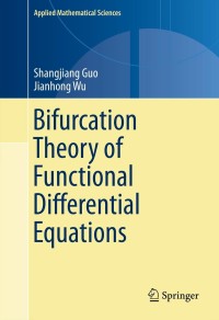 Titelbild: Bifurcation Theory of Functional Differential Equations 9781461469919