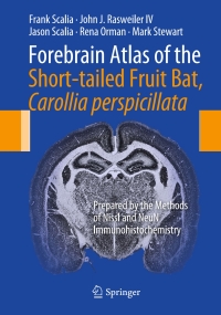 Omslagafbeelding: Forebrain Atlas of the Short-tailed Fruit Bat, Carollia perspicillata 9781461470878