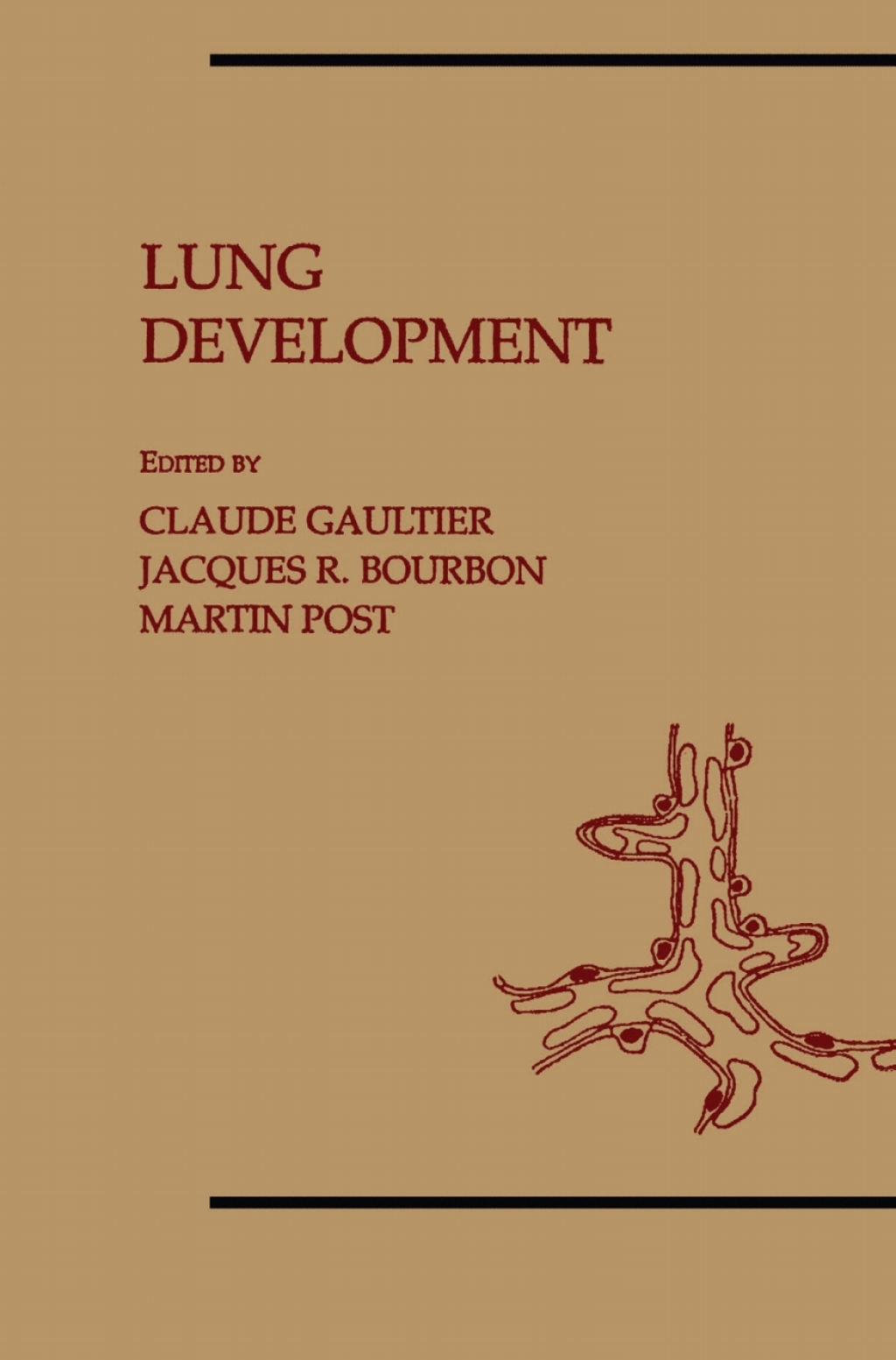 Lung Development 1st Edition
