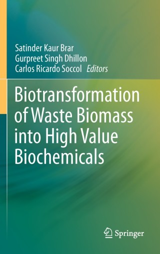 Omslagafbeelding: Biotransformation of Waste Biomass into High Value Biochemicals 9781461480044