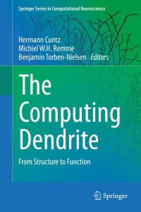 Cover image: The Computing Dendrite 9781461480938