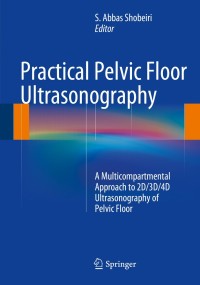 Cover image: Practical Pelvic Floor Ultrasonography 9781461484257