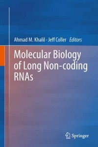 Imagen de portada: Molecular Biology of Long Non-coding RNAs 9781461486206