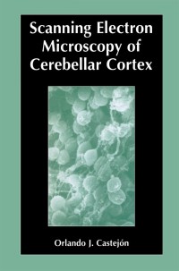 Cover image: Scanning Electron Microscopy of Cerebellar Cortex 9780306477119