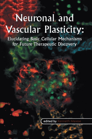 Imagen de portada: Neuronal and Vascular Plasticity 1st edition 9781402074004