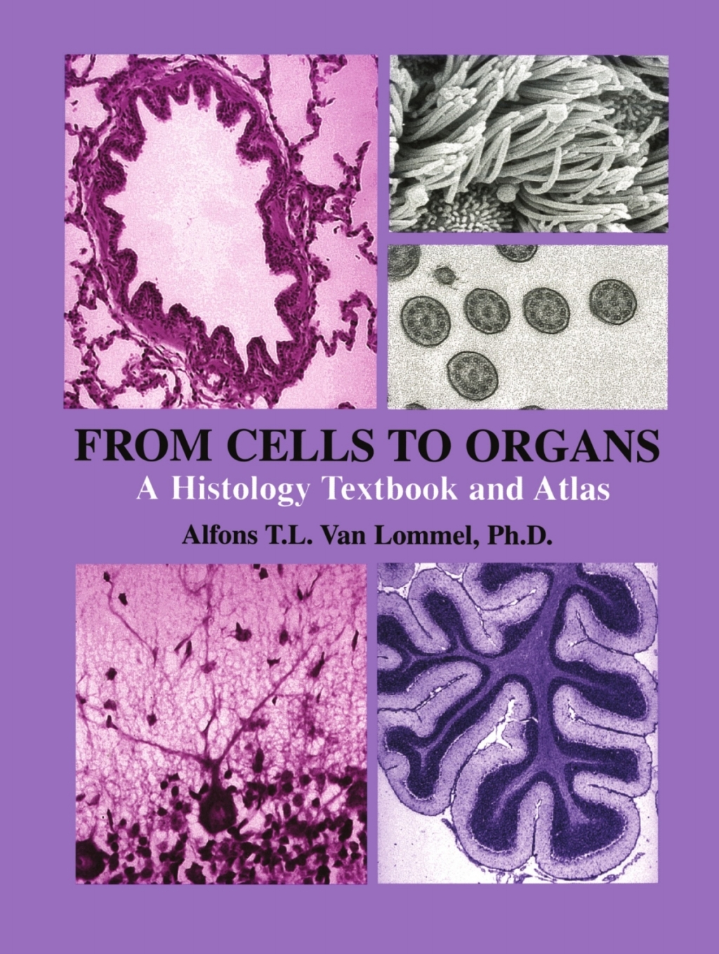 From Cells to Organs A Histology Textbook and Atlas