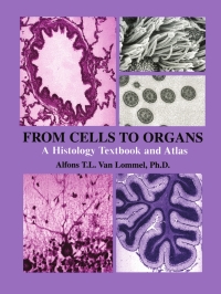 Imagen de portada: From Cells to Organs 9781402072574